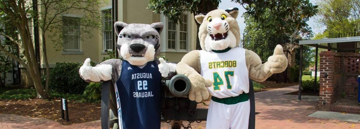 bobcat mascot and jaguar mascot pose with thumbs up next to an antique cannon
